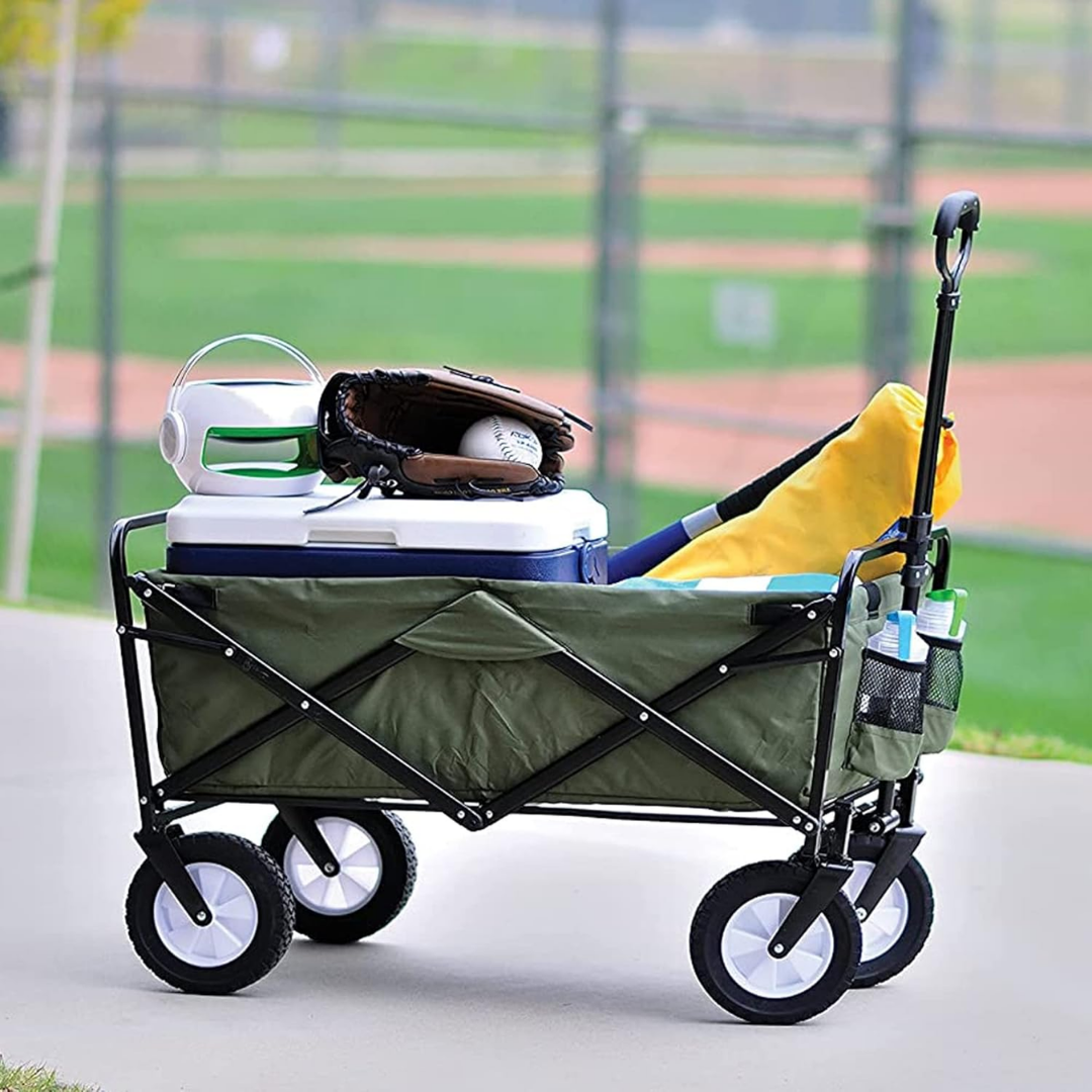 Carro de mano plegable 120 Kg de carga